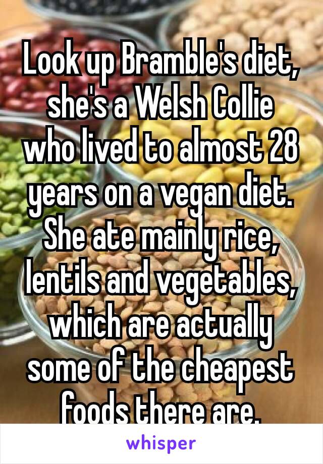 Look up Bramble's diet, she's a Welsh Collie who lived to almost 28 years on a vegan diet. She ate mainly rice, lentils and vegetables, which are actually​ some of the cheapest foods there are.