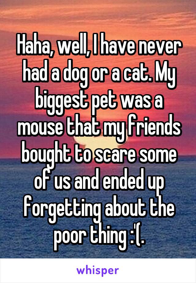Haha, well, I have never had a dog or a cat. My biggest pet was a mouse that my friends bought to scare some of us and ended up forgetting about the poor thing :'(.