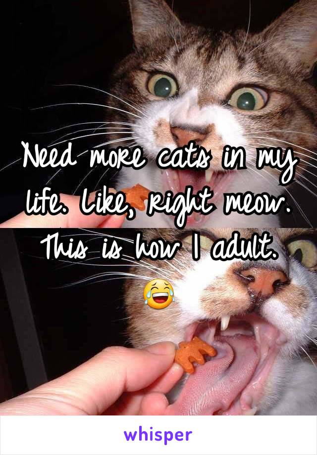 Need more cats in my life. Like, right meow. This is how I adult.
😂