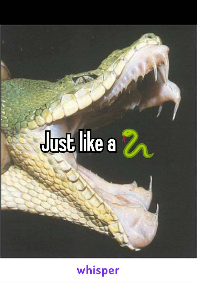 Just like a 🐍