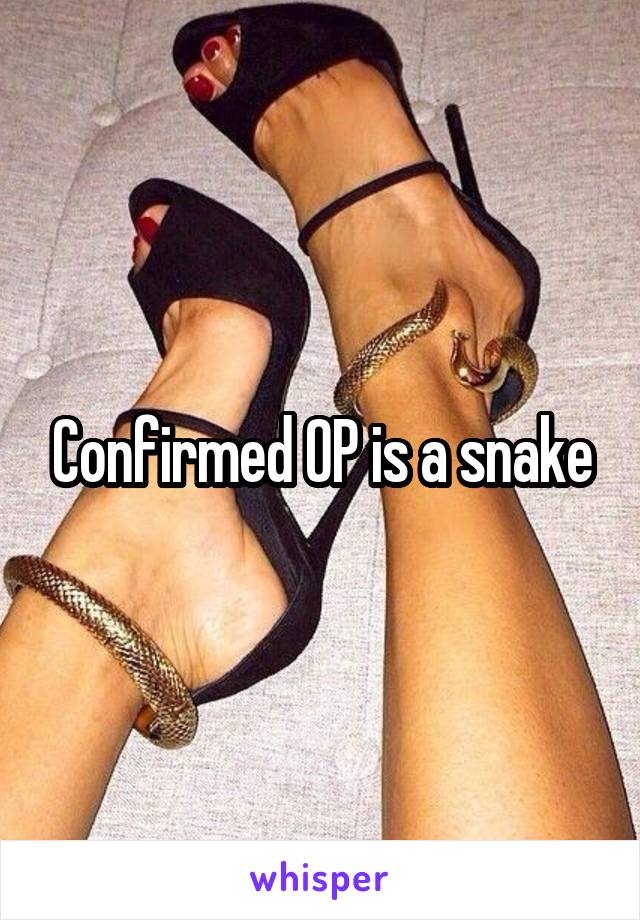 Confirmed OP is a snake