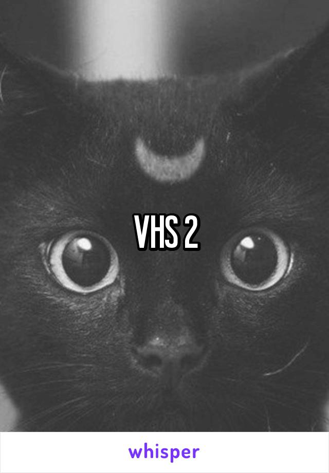 VHS 2