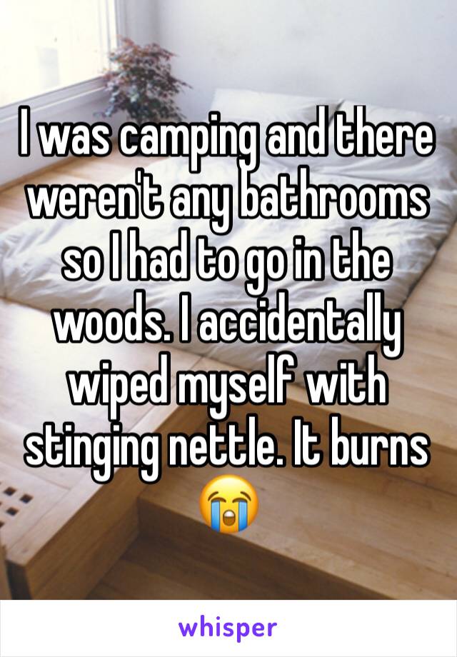 I was camping and there weren't any bathrooms so I had to go in the woods. I accidentally wiped myself with stinging nettle. It burns 😭