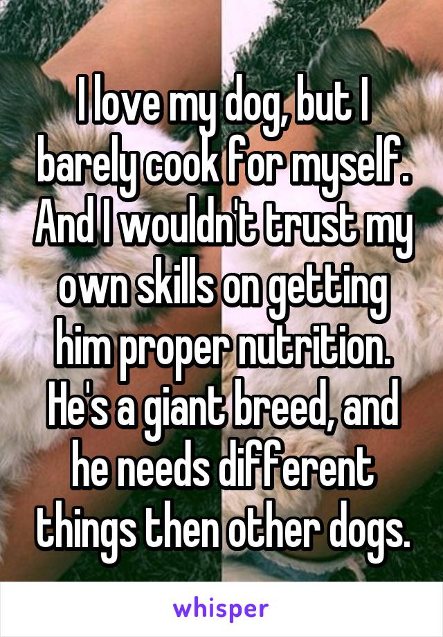 I love my dog, but I barely cook for myself. And I wouldn't trust my own skills on getting him proper nutrition. He's a giant breed, and he needs different things then other dogs.