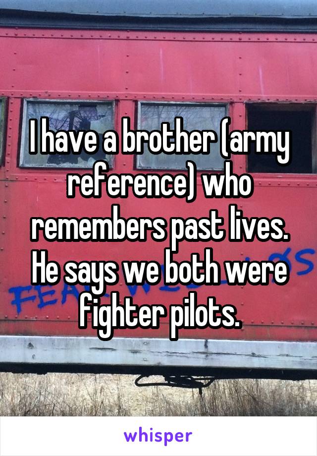 I have a brother (army reference) who remembers past lives. He says we both were fighter pilots.