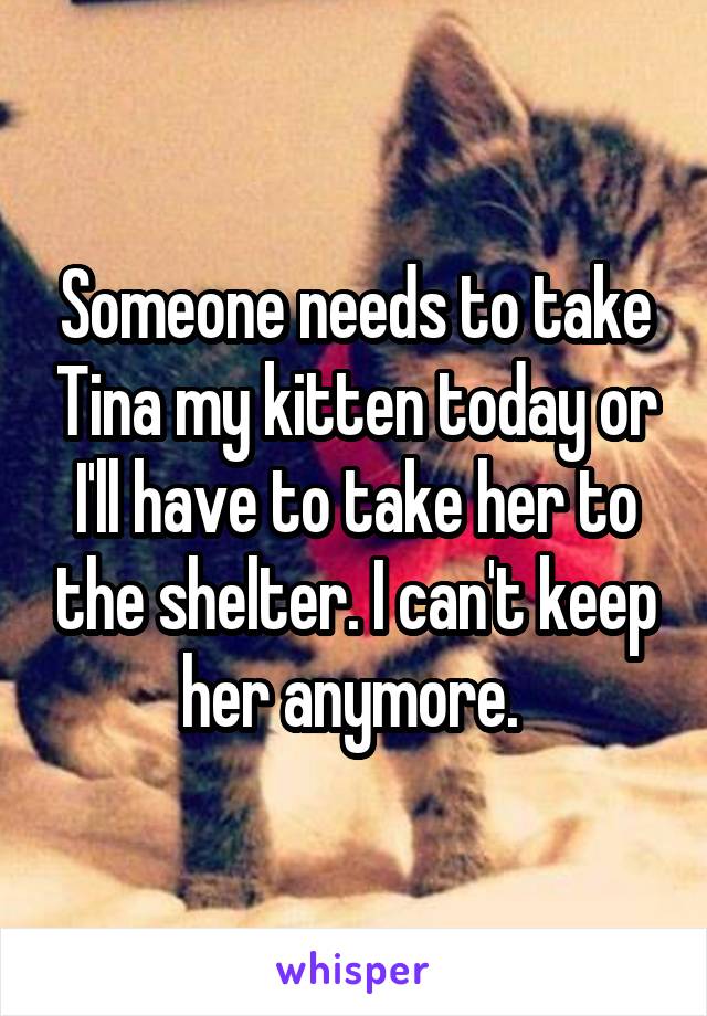 Someone needs to take Tina my kitten today or I'll have to take her to the shelter. I can't keep her anymore. 