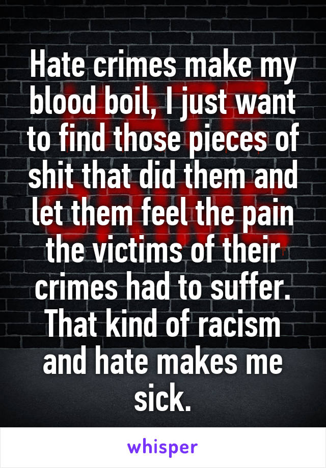Hate crimes make my blood boil, I just want to find those pieces of shit that did them and let them feel the pain the victims of their crimes had to suffer. That kind of racism and hate makes me sick.
