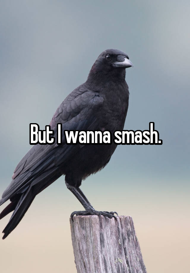But I Wanna Smash