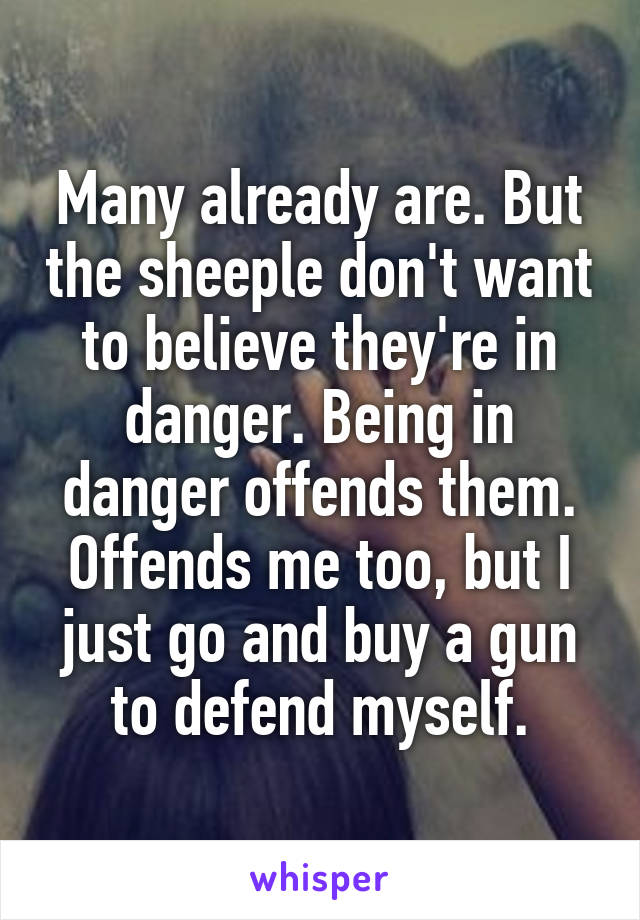 Many already are. But the sheeple don't want to believe they're in danger. Being in danger offends them. Offends me too, but I just go and buy a gun to defend myself.