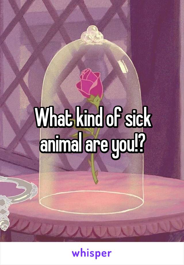 What kind of sick animal are you!?