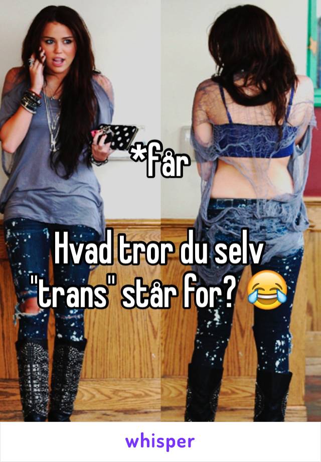 *får

Hvad tror du selv "trans" står for? 😂