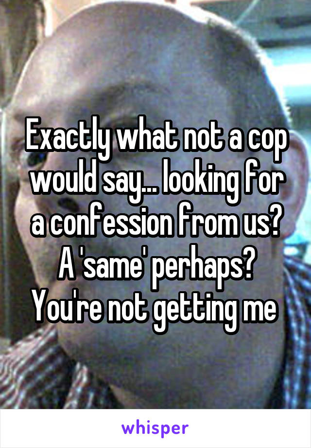Exactly what not a cop would say... looking for a confession from us? A 'same' perhaps? You're not getting me 