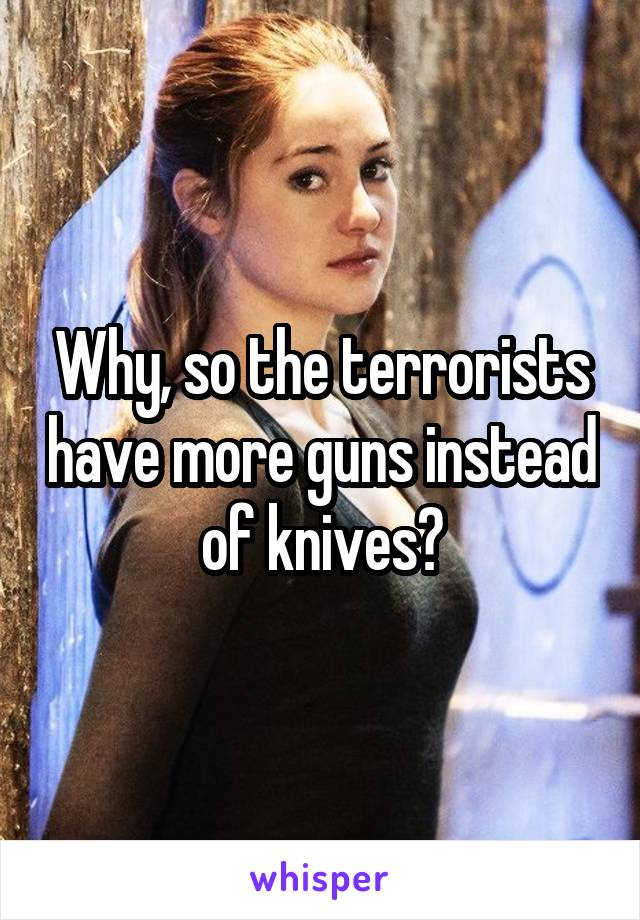 Why, so the terrorists have more guns instead of knives?