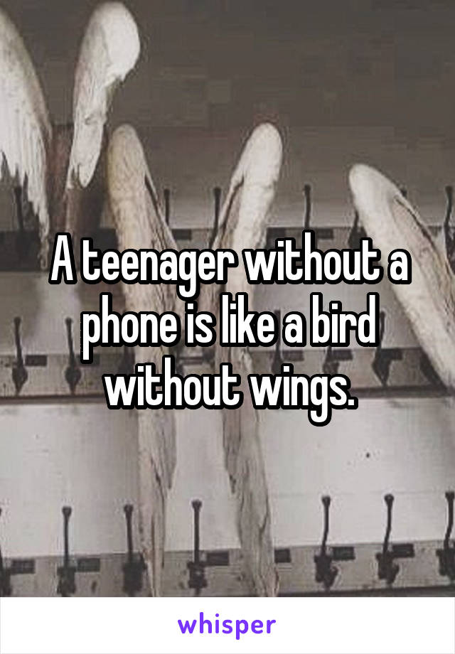 A teenager without a phone is like a bird without wings.