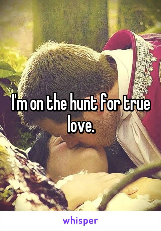 I'm on the hunt for true love.