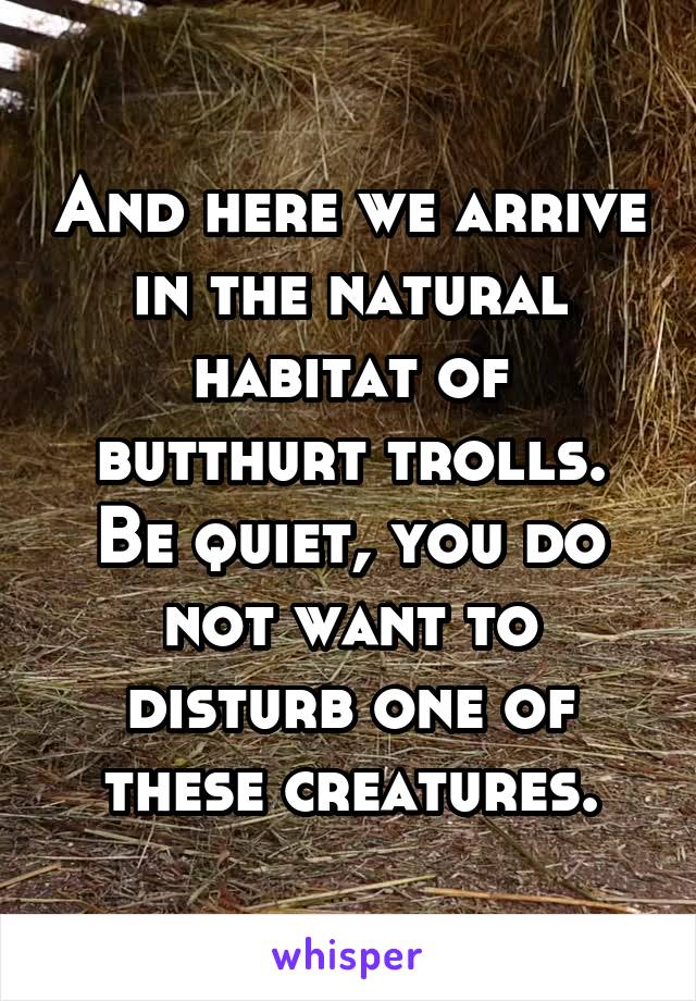 And here we arrive in the natural habitat of butthurt trolls. Be quiet, you do not want to disturb one of these creatures.