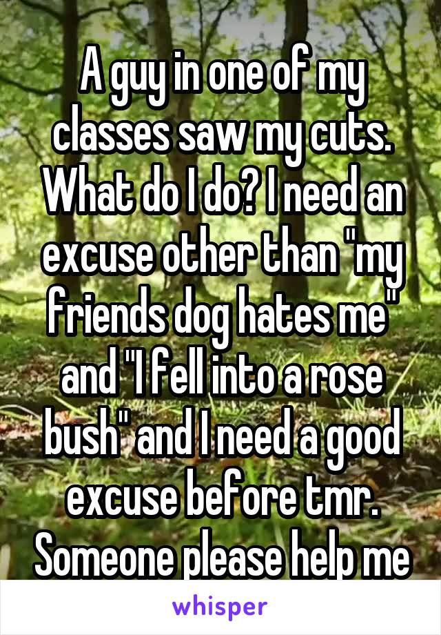 A guy in one of my classes saw my cuts. What do I do? I need an excuse other than "my friends dog hates me" and "I fell into a rose bush" and I need a good excuse before tmr. Someone please help me