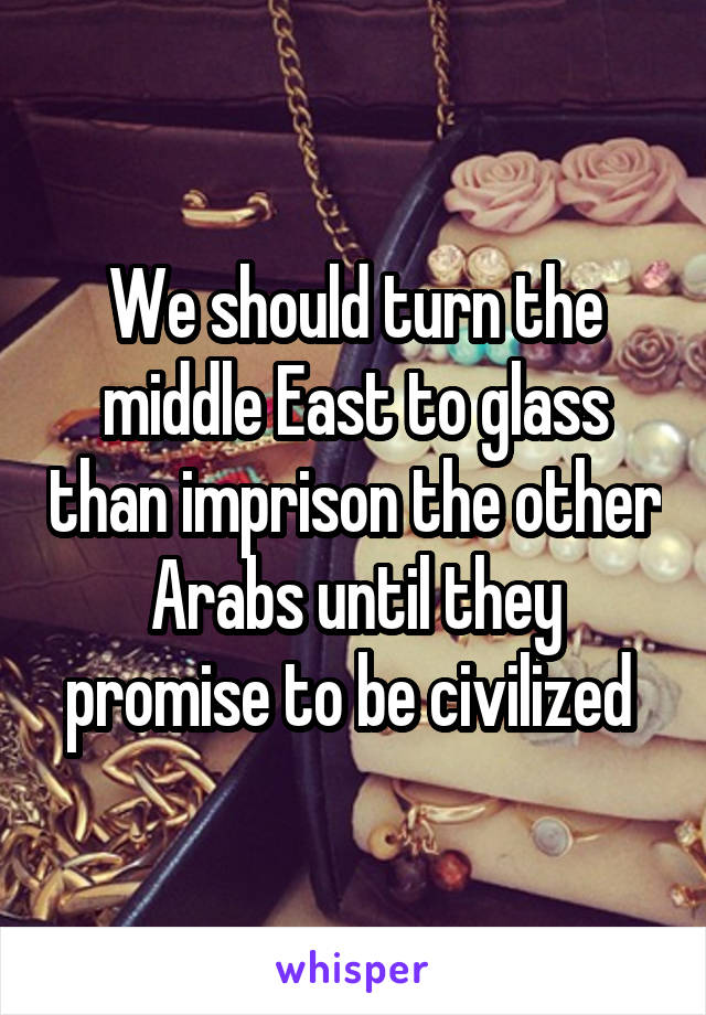 We should turn the middle East to glass than imprison the other Arabs until they promise to be civilized 