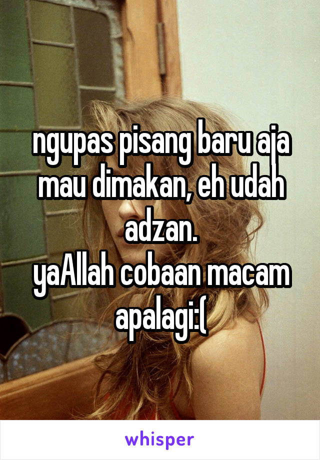 ngupas pisang baru aja mau dimakan, eh udah adzan.
yaAllah cobaan macam apalagi:(