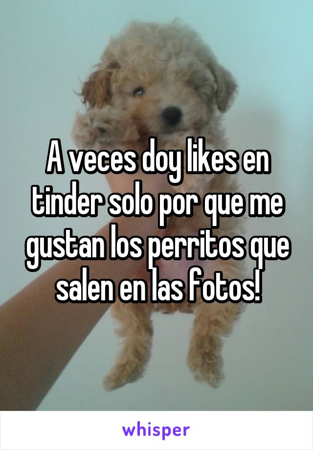 A veces doy likes en tinder solo por que me gustan los perritos que salen en las fotos!