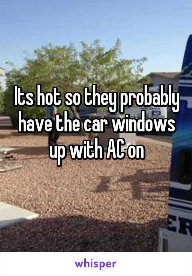 Its hot so they probably have the car windows up with AC on
