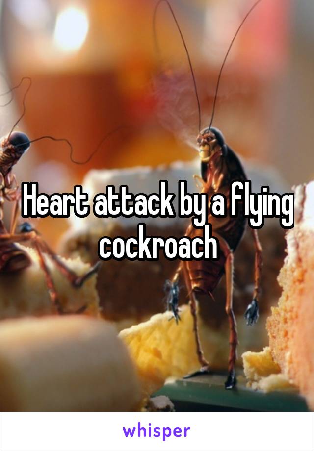 Heart attack by a flying cockroach