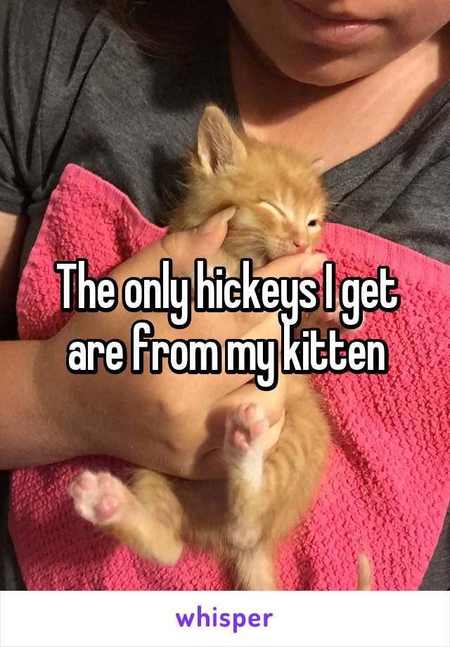 The only hickeys I get are from my kitten