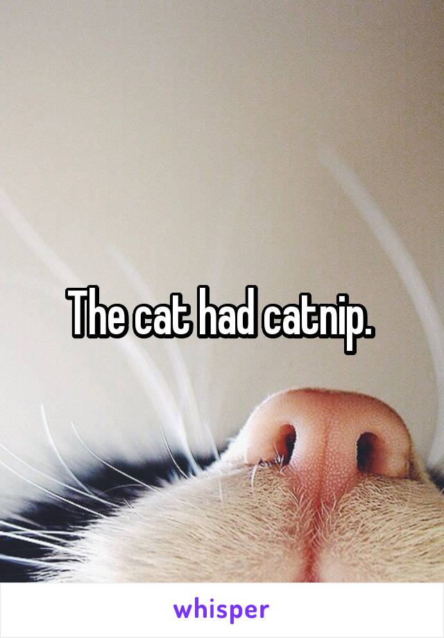 The cat had catnip. 