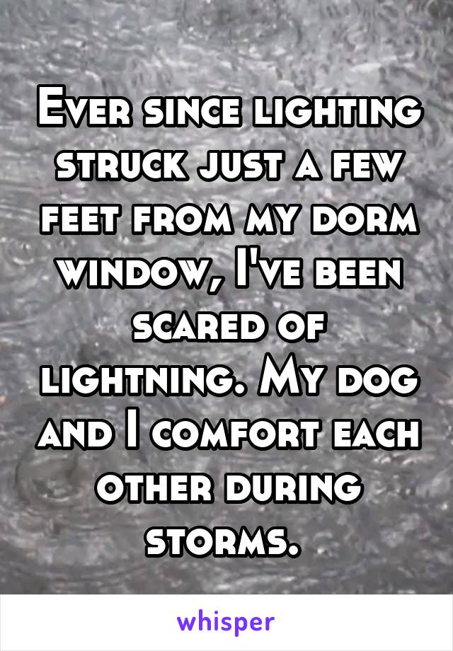 Ever since lighting struck just a few feet from my dorm window, I've been scared of lightning. My dog and I comfort each other during storms. 