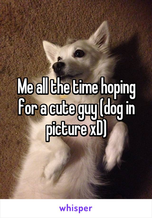 Me all the time hoping for a cute guy (dog in picture xD)