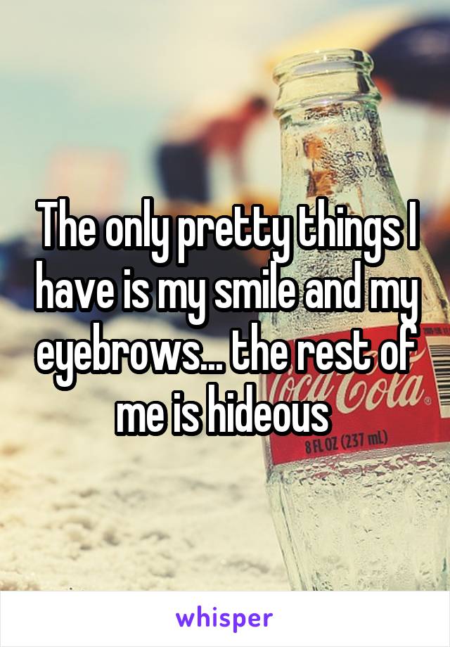 The only pretty things I have is my smile and my eyebrows... the rest of me is hideous 