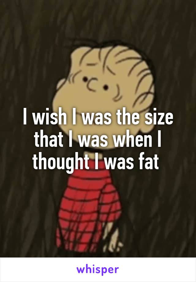 I wish I was the size that I was when I thought I was fat 