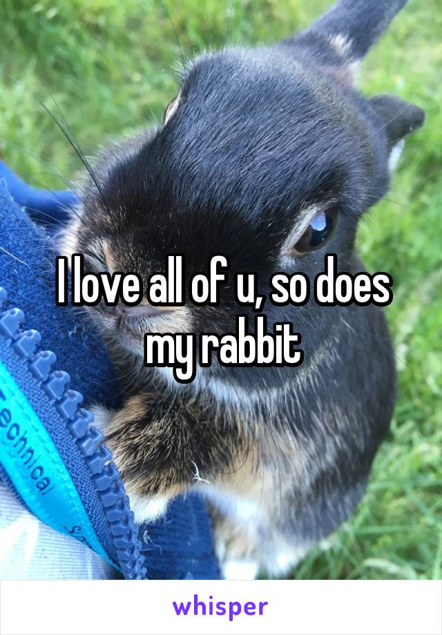 I love all of u, so does my rabbit