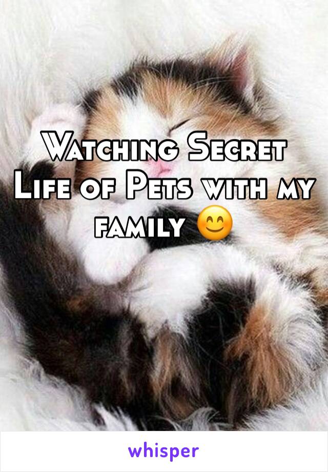 Watching Secret Life of Pets with my family 😊