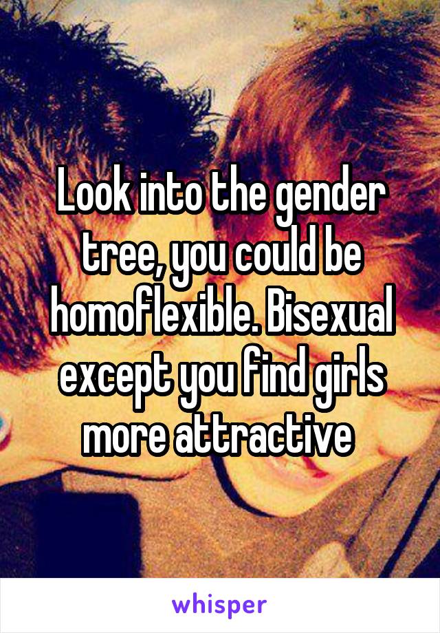 Look into the gender tree, you could be homoflexible. Bisexual except you find girls more attractive 