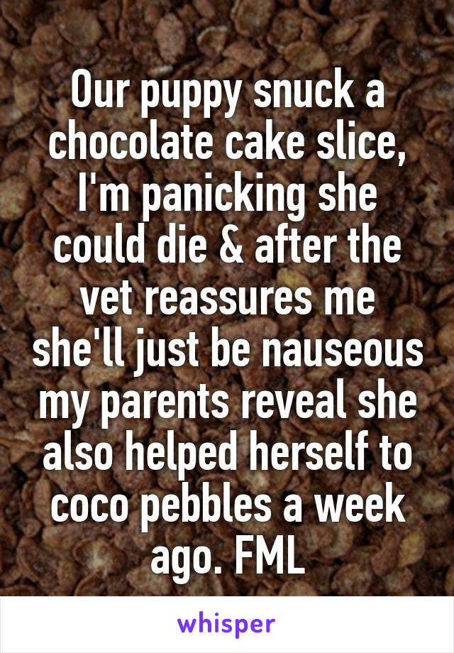 Our puppy snuck a chocolate cake slice, I'm panicking she could die & after the vet reassures me she'll just be nauseous my parents reveal she also helped herself to coco pebbles a week ago. FML