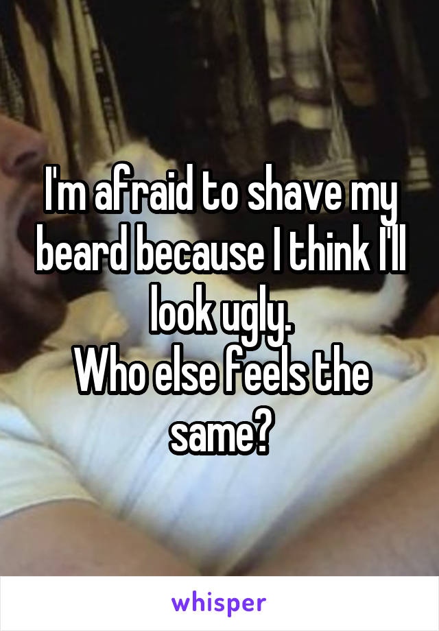 I'm afraid to shave my beard because I think I'll look ugly.
Who else feels the same?