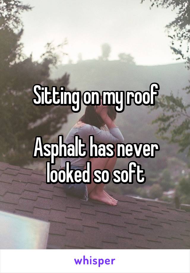 Sitting on my roof

Asphalt has never looked so soft