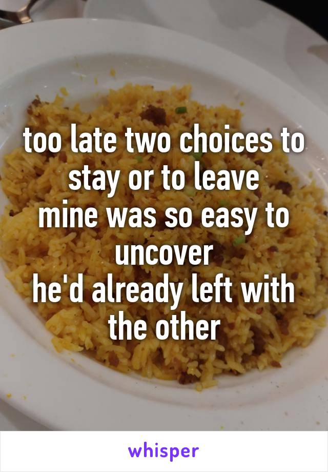 too late two choices to stay or to leave
mine was so easy to uncover
he'd already left with the other