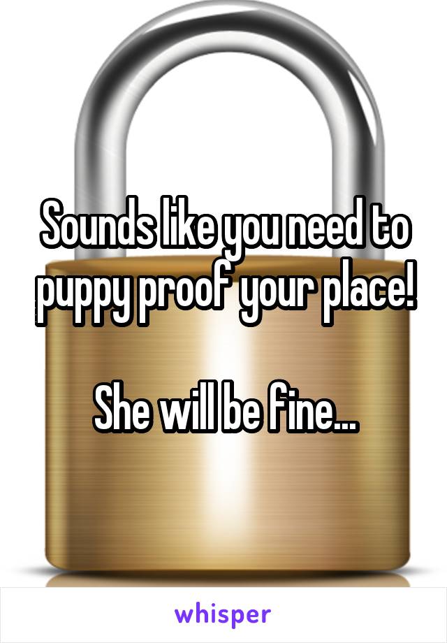 Sounds like you need to puppy proof your place!

She will be fine...