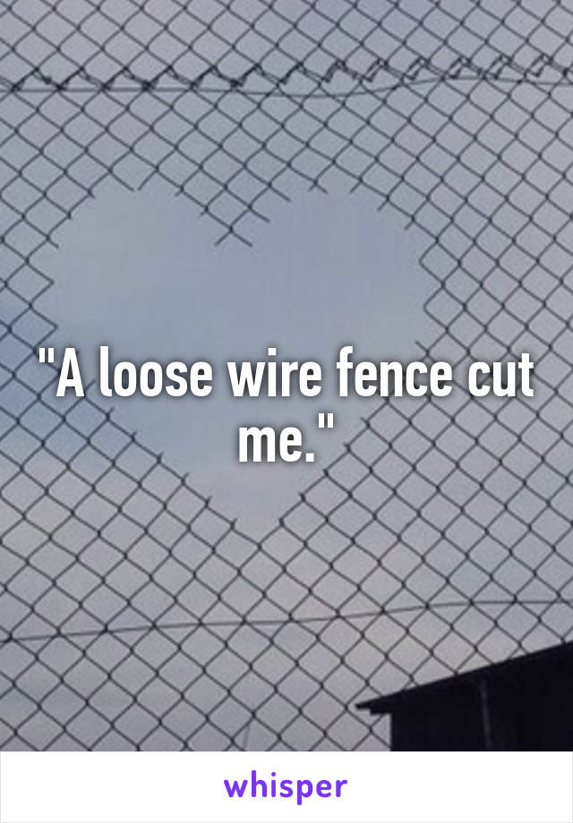 "A loose wire fence cut me."