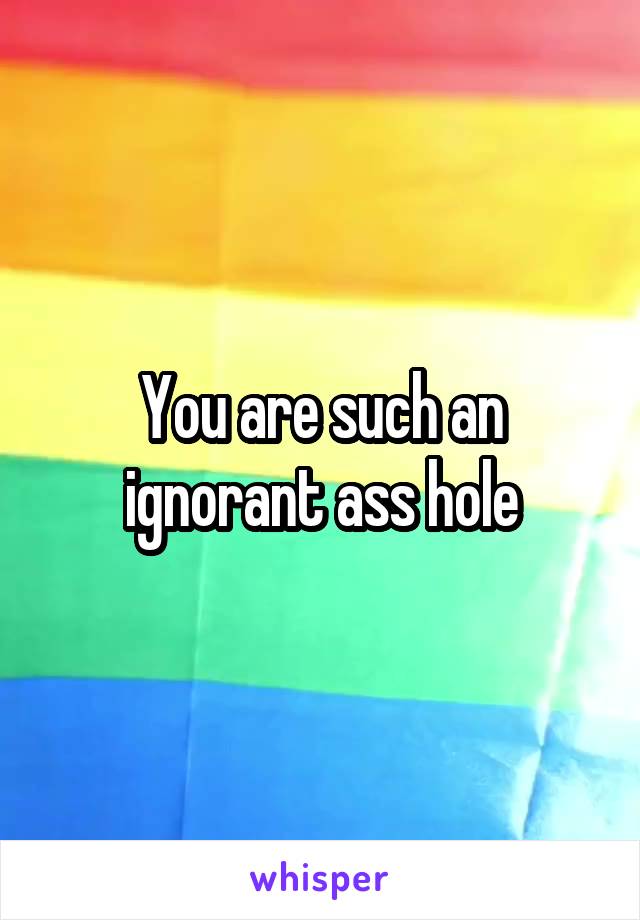 You are such an ignorant ass hole