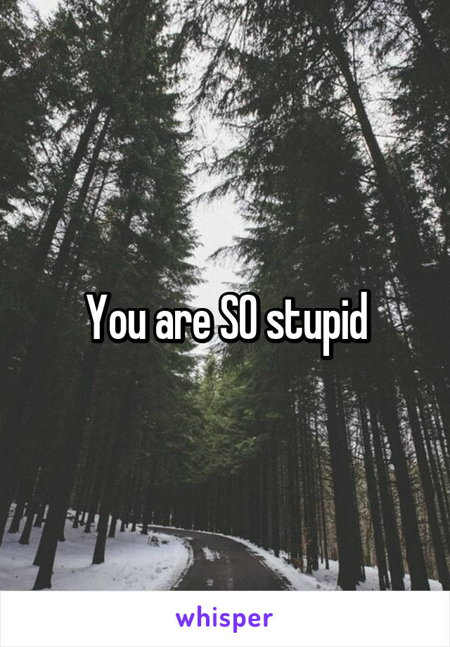 You are SO stupid