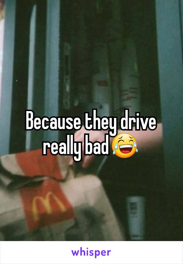 Because they drive really bad😂