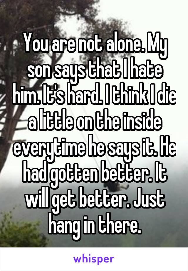 You are not alone. My son says that I hate him. It's hard. I think I die a little on the inside everytime he says it. He had gotten better. It will get better. Just hang in there.