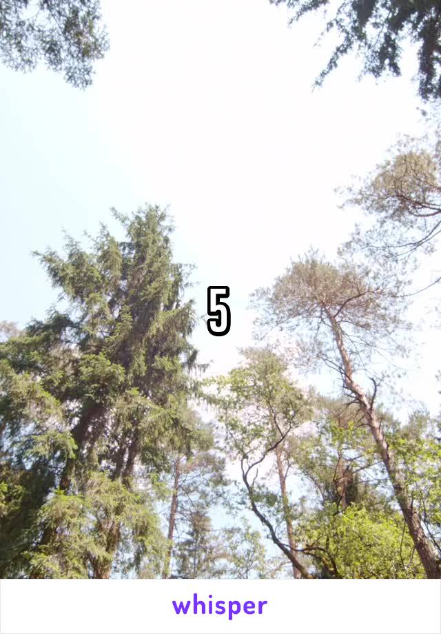 5 