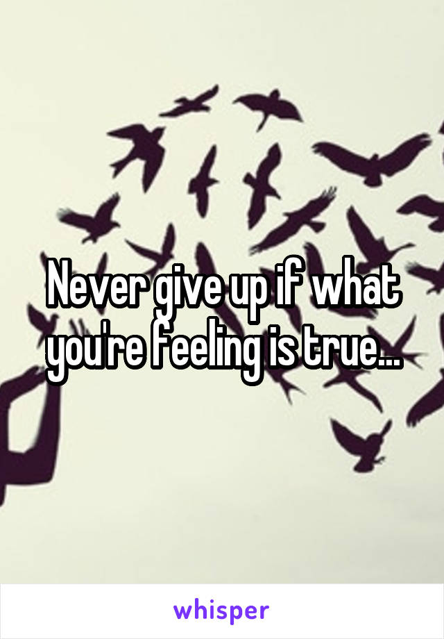 Never give up if what you're feeling is true...