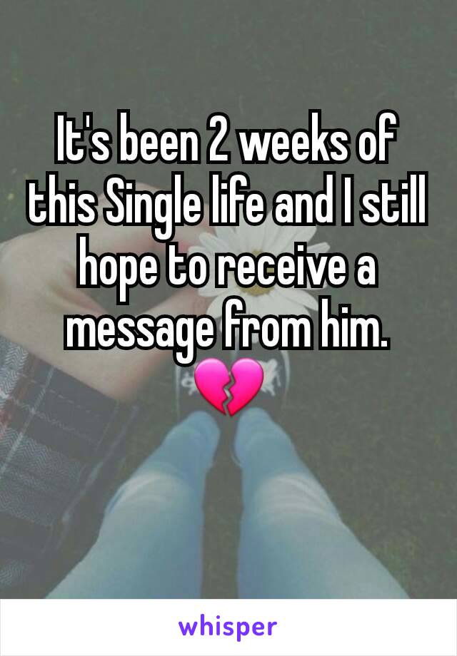 It's been 2 weeks of this Single life and I still hope to receive a message from him. 💔