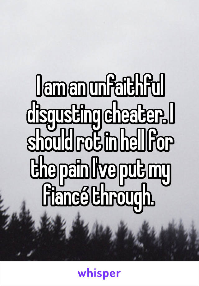 I am an unfaithful disgusting cheater. I should rot in hell for the pain I've put my fiancé through. 