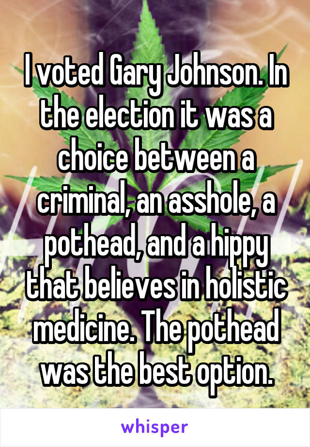 I voted Gary Johnson. In the election it was a choice between a criminal, an asshole, a pothead, and a hippy that believes in holistic medicine. The pothead was the best option.